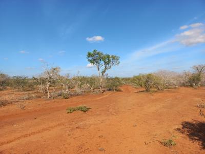 5 Acre Farmland in Malindi , Bombi, Bombi, Malindi Town, Kilifi, Mixed-use Land for Sale