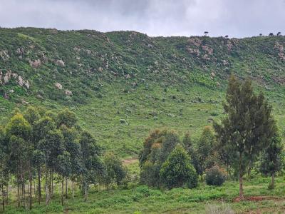 Exceptional Prime 5 Acre Property in Kikuyu Kamangu, Kamangu, Kikuyu, Kiambu, Land for Sale