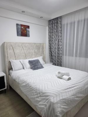 Furnished 1 Bedroom Apartment in Westlands, Nairobi, Rhapta Road, Westlands, Nairobi, Apartment for Rent