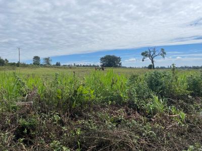 1 Prime Acre Near Kentmere in Tigoni, Off Tigoni-limuru Road, Tigoni, Kiambu, Mixed-use Land for Sale