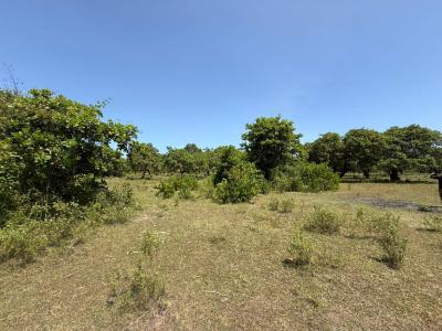 Prime Land 4.45 Acres., Mbuwani, Ukunda, Kwale, Land for Sale