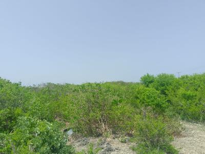 Prime 2-acres Second-row Beach Plot, Kanani Road, Watamu, Kilifi, Land for Sale