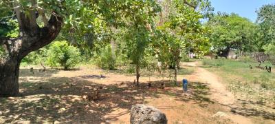 Prime 50×100 Plot, Gede-watamu Road, Watamu, Kilifi, Mixed-use Land for Sale