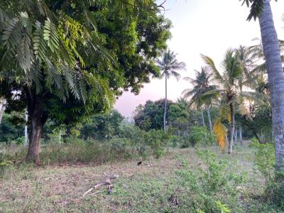 Prime 4.5 Acres in Kilifi, Kikambala. Budoi Area , Kilifi, Mtwapa, Kilifi, Mixed-use Land for Sale