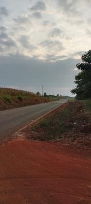 50 By 100 Plot, Ruiru, Kiambu, Land for Sale