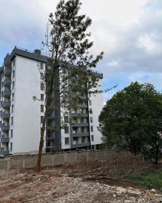 2 Bedroom Apartment, Naivasha Road, Kabete, Kiambu, Apartment for Rent