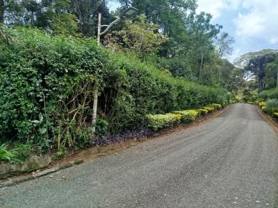 Prime Half Acre Land in Gated Community, Mwitu Road, Karen, Nairobi, Land for Sale