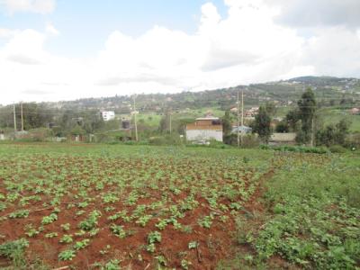 4.5 Acres of Land, Ngong-suswa Rd, Kibiko, Ngong, Kajiado, Land for Sale