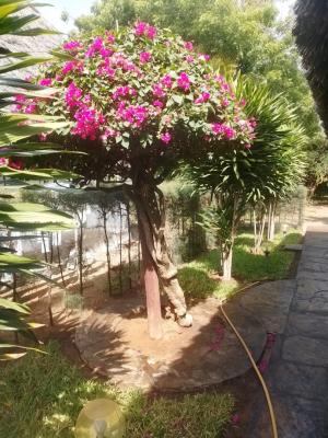 Prime Plots, Watamu, Watamu, Kilifi, Land for Sale