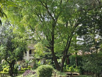 5-bedroom House with Sq Sits on Half an Acre in Karen, Hardy Ndovu Rd., Karen Ndovulane, Karen, Nairobi, Townhouse for Sale