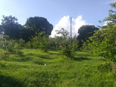Prime 5.2-acre Freehold Land, Kijiwetanga, Malindi Town, Kilifi, Land for Sale