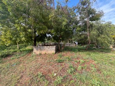 2 Acres Airport Road of Diani Beach Road  Opposite Rainbow Primary in, Ukunda Diani, Ukunda, Kwale, Mixed-use Land for Sale