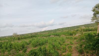 Prime 4.8 Acres of Fertile Land in Marafa, Malindi, Marafa, Marafa, Kilifi, Land for Sale