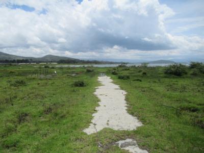 Blocks of Land Fronting The Lake, Moi South Lake Road, Naivasha East, Nakuru, Land for Sale