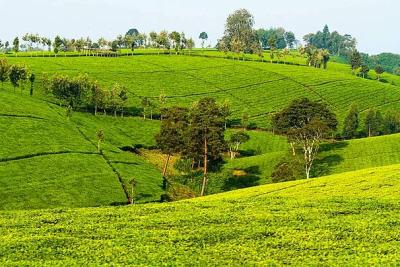 Gatundu South, Gatundu South, Ruiru, Kiambu, Commercial Land for Sale