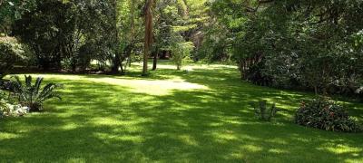 Prime 5 Acre Land, Ndege Road, Karen, Nairobi, Land for Sale