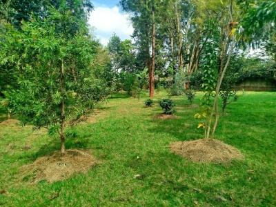 Prime Land with Ready Documentation and Tarmac Frontage, Windyridge Touchung Dagoretti Road, Karen, Nairobi, Land for Sale