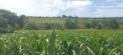 Prime Agricultural Plot, Matuga, Kubo South, Kwale, Land for Sale