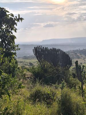 Prime 1-acre Land -- Mua Hills, Machakos  Only Ksh 4,000,000, Machakos Mua Hills, Machakos Central, Machakos, Land for Sale