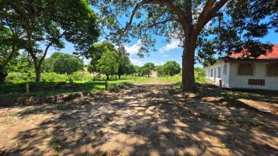 Malindi Msabaha Residential Plots, Msabaha, Malindi Town, Kilifi, Mixed-use Land for Sale