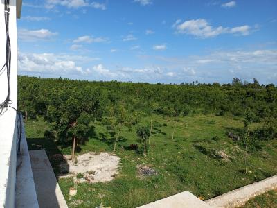 50x100 Plots, Line 7, Tezo, Kilifi, Residential Land for Sale