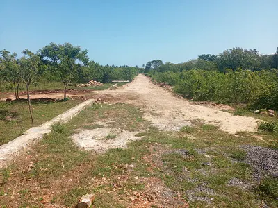 50 X 100 Residential Plots with Ready Freehold Titles — Line 7, Tezo, Kilifi