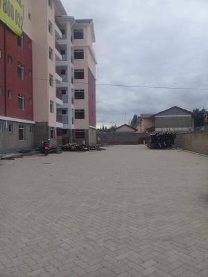 an Elegant Spacious 2 Bedroom Master Ensuite, Syokimau/mulolongo, Machakos, Apartment for Sale