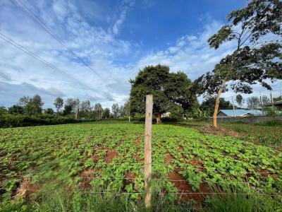 Prime Land, Dedan Kimanthi, Nyeri, Land for Sale