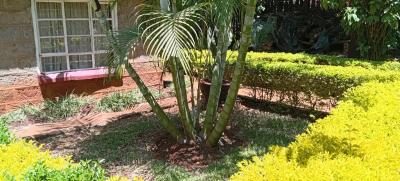 Office Space for Sharing, Ngong Road, Near Coptic Mission Hospital, Kilimani, Nairobi, Office Space for Rent