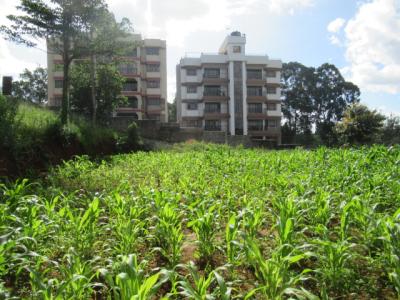 1-acre Plot for Development, Thindigua Road, Thindigua, Nairobi, Land for Sale