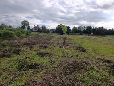 Prime 50 X 100 Plot for -- Kerarapon Drive (21st Drive) -- Ksh 8.5m, Kerarapon, Tigoni, Kiambu, Land for Sale