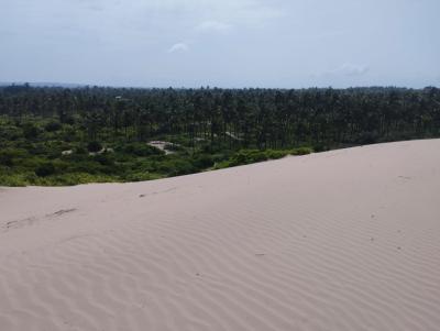 Grand 51-acre Oceanfront Land in Ngomeni, Malindi, Ngomeni, Malindi Town, Kilifi, Land for Sale