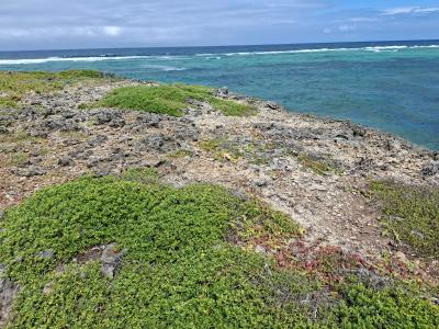 Prime Affordable 2 Acres Beach Front Land, Matsangoni Beach, Sokoni, Kilifi, Mixed-use Land for Sale