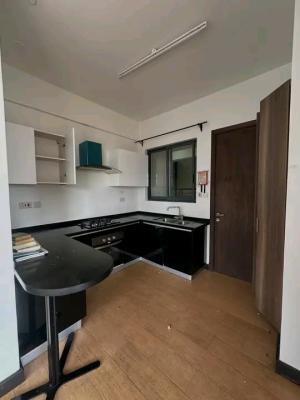 2 Bedroom Plus Dsq Apartment, Off Lenana Road, Kilimani, Nairobi, Apartment for Rent
