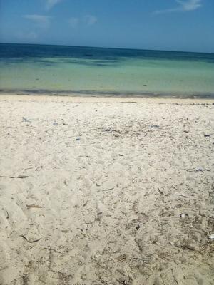 50 Acres Beach Front Property,beach Property, Kilifi Bofa, Malindi Town, Kilifi, Mixed-use Land for Sale