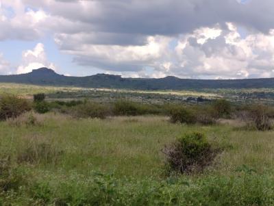 Land  20 Acres, Athi River, Athi River, Machakos, Land for Sale