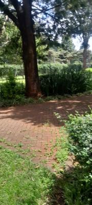 Prime 5 Acre Parcel of Land with Red Soil, Karen, Miotoni Road., Karen, Nairobi, Residential Land for Sale