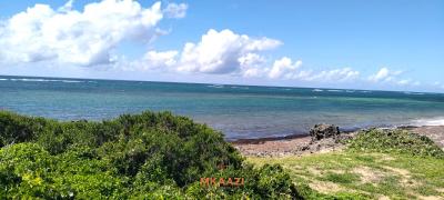 Exclusive 45-acre Beachfront Land in Uyombo, Kilifi, Uyombo, Matsangoni, Kilifi, Land for Sale
