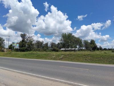 Apex 1/2 Acre Road Frontage Land  in Kitengela Kimalat, Kisaju, Kitengela, Kajiado, Land for Sale