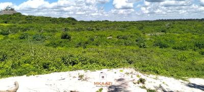 Exclusive 5-acre Beachfront Land in Uyombo, Kilifi, Uyombo, Matsangoni, Kilifi, Land for Sale