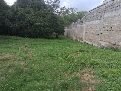Prime Half Acre Land with Ready Title Deed, Miotoni, Karen, Nairobi, Land for Sale