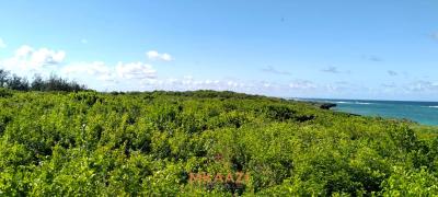 Exclusive 20-acre Beachfront Land in Chumani, Kilifi, Chumani, Ganze, Kilifi, Land for Sale