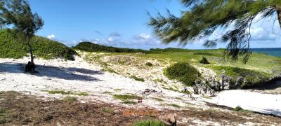 Spectacular 35-acre Beachfront Land in Chumani, Kilifi, Chumani, Ganze, Kilifi, Land for Sale