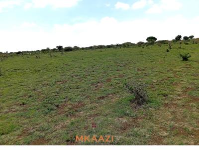 Prime 130 Acre Agricultural & Investment Land, Near Posta, Rumuruti Township, Laikipia, Mixed-use Land for Sale