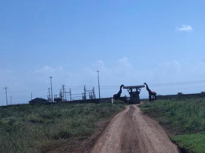 1 Acre Prime Plot, Nuru, Nanyuki, Laikipia, Residential Land for Sale