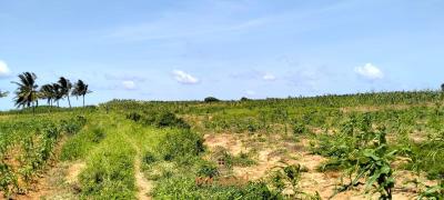1.45 Acres Prime Beachside Land in Chumani -- Kilifi, Chumani, Matsangoni, Kilifi, Land for Sale