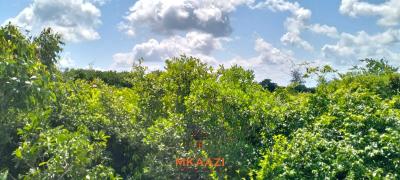 Prime 12.3-acre Land in Malindi, Kakuyuni Near Arabuko Forest, Kakuyuni, Malindi Town, Kilifi, Land for Sale