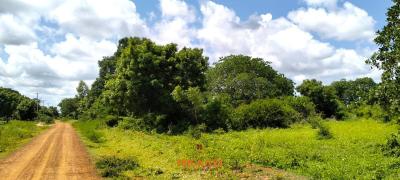 Prime 2.5-acre Land, Kakuyuni, Malindi Town, Kilifi, Land for Sale