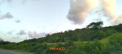 Prime 37 Acres Riverfront Land in Marafa, Malindi, Marafa, Malindi Town, Kilifi, Land for Sale