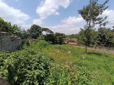 Prime 1/4 Acre Plot Kerarapon Drive,north 19m, Kererepon, Ngong, Kajiado, Land for Sale